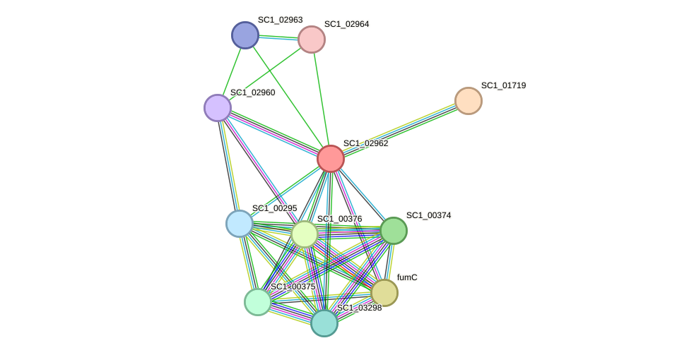 STRING protein interaction network