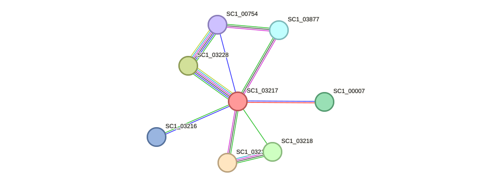 STRING protein interaction network