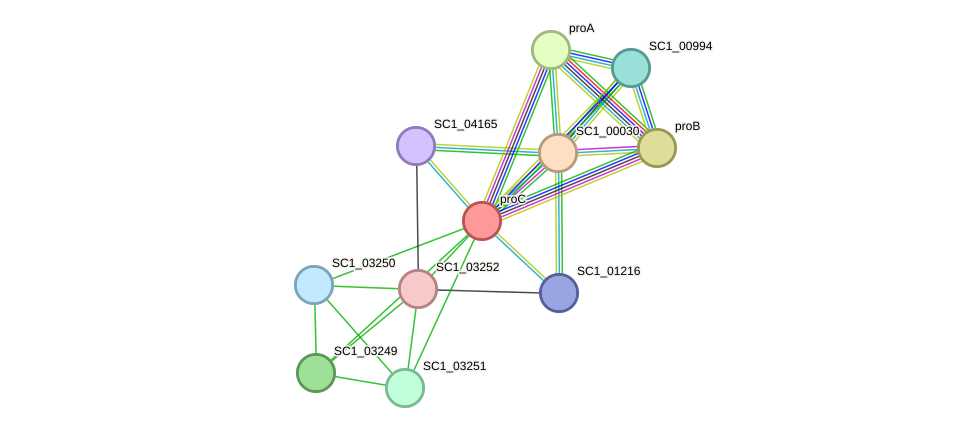 STRING protein interaction network