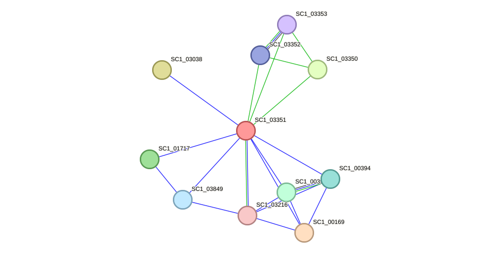 STRING protein interaction network