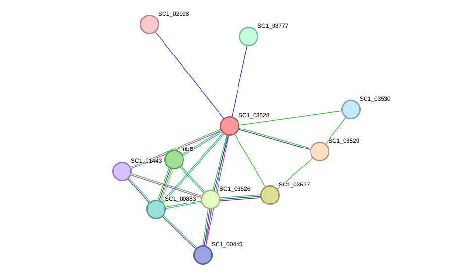 STRING protein interaction network