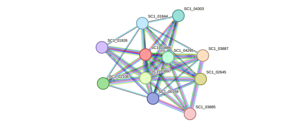 STRING protein interaction network