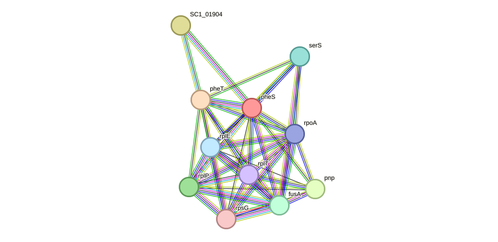 STRING protein interaction network