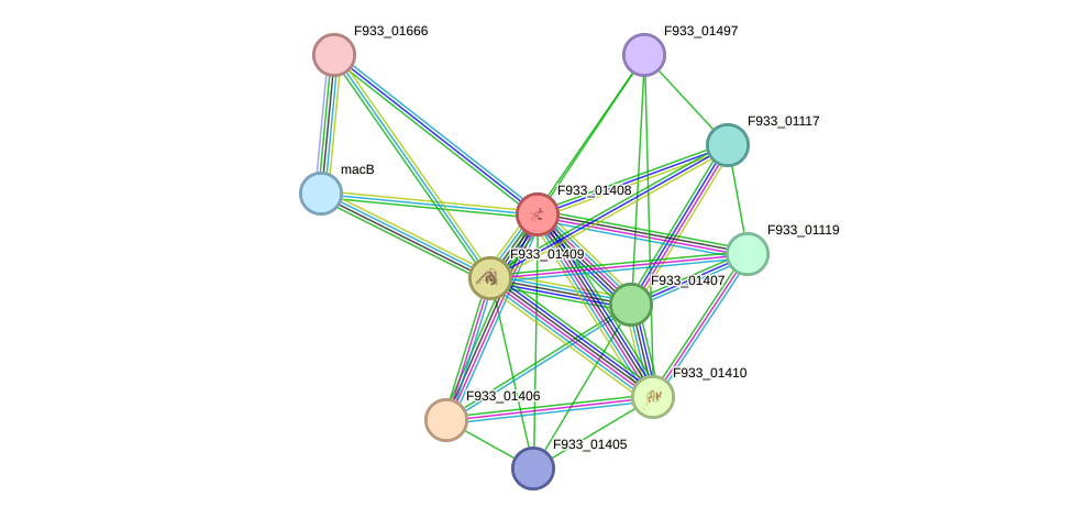 STRING protein interaction network