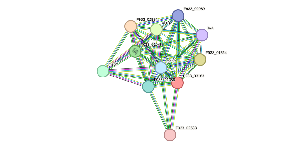 STRING protein interaction network