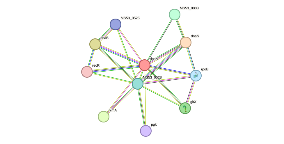 STRING protein interaction network