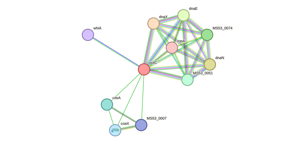 STRING protein interaction network