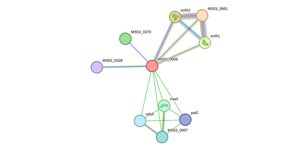 STRING protein interaction network