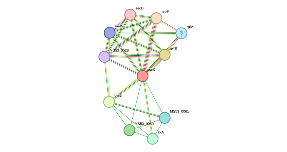 STRING protein interaction network