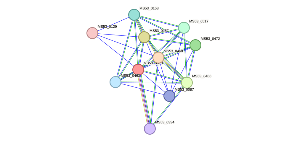 STRING protein interaction network