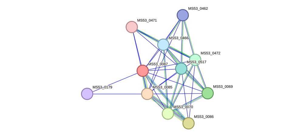 STRING protein interaction network
