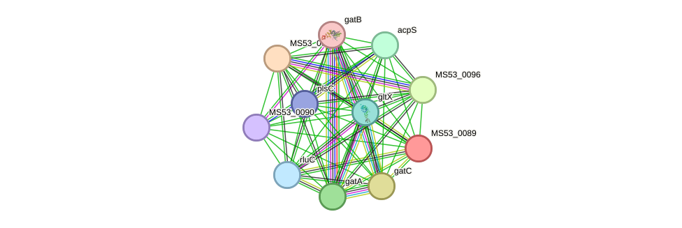 STRING protein interaction network