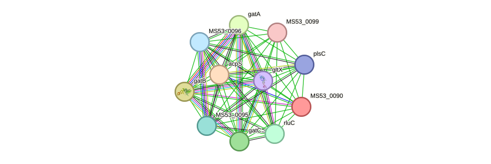 STRING protein interaction network