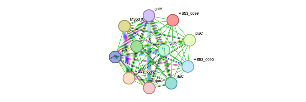 STRING protein interaction network