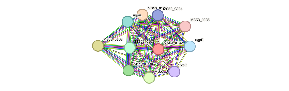 STRING protein interaction network