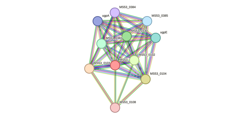 STRING protein interaction network