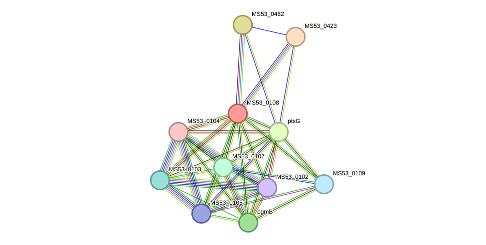 STRING protein interaction network