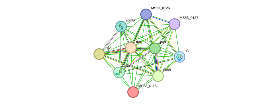 STRING protein interaction network