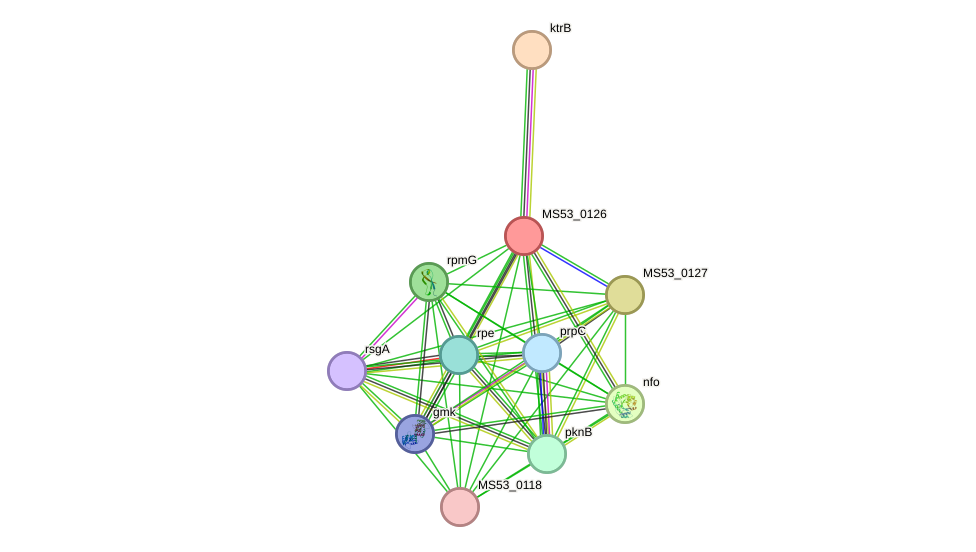 STRING protein interaction network