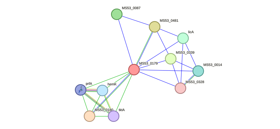 STRING protein interaction network