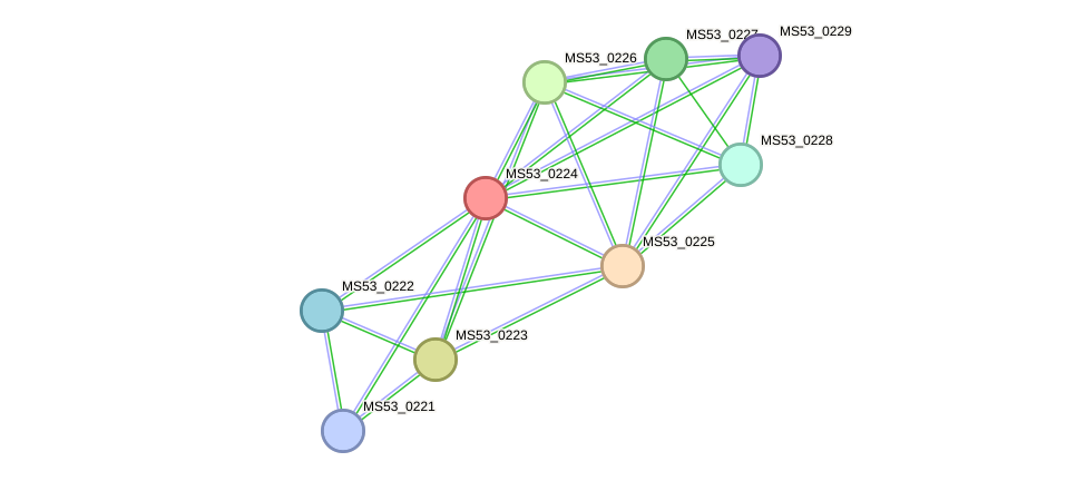 STRING protein interaction network