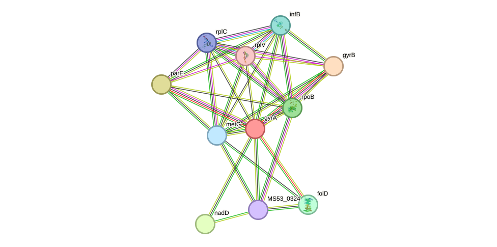 STRING protein interaction network