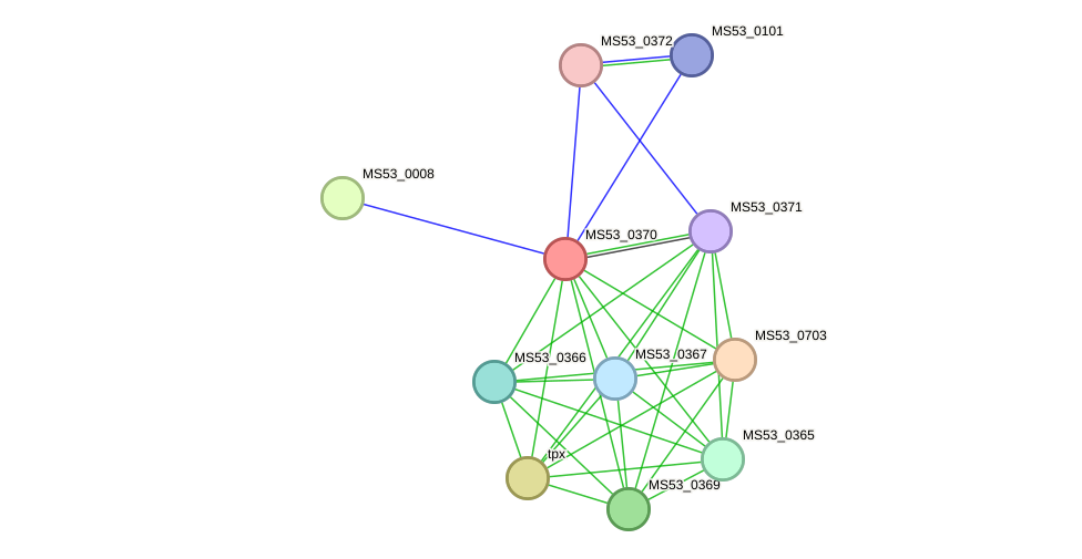 STRING protein interaction network
