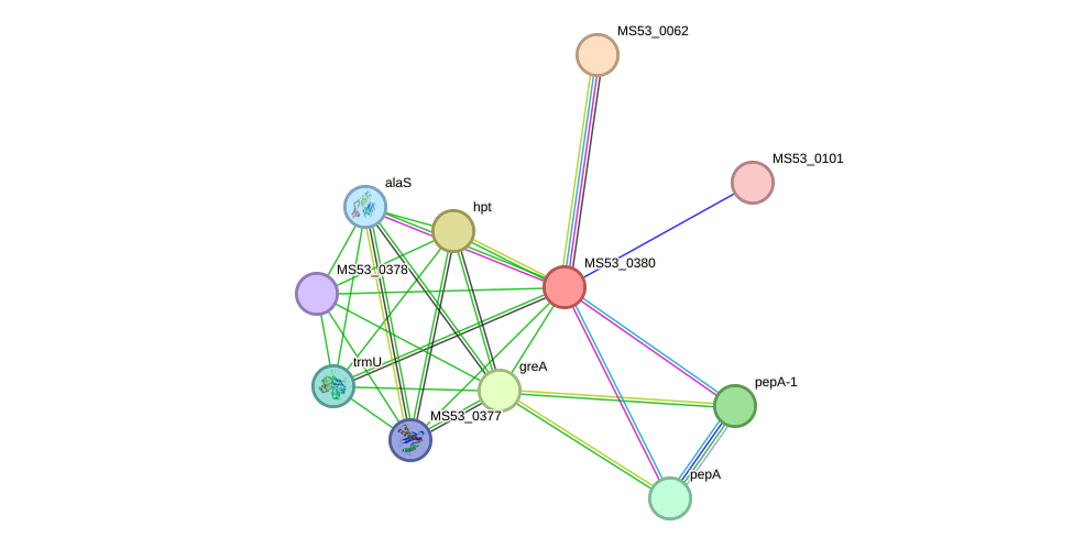 STRING protein interaction network