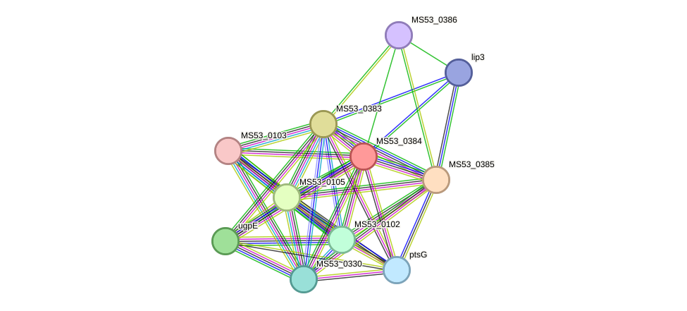STRING protein interaction network