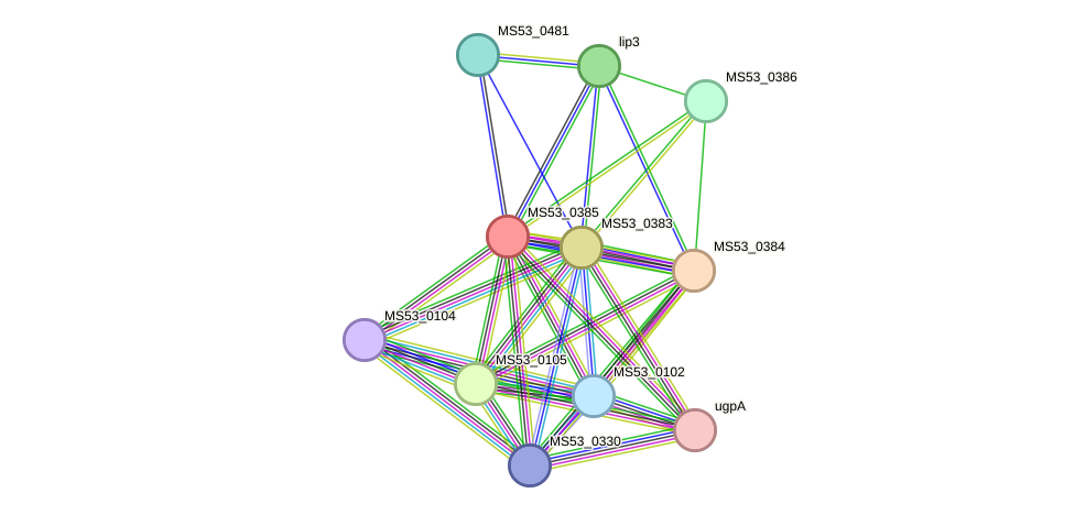STRING protein interaction network