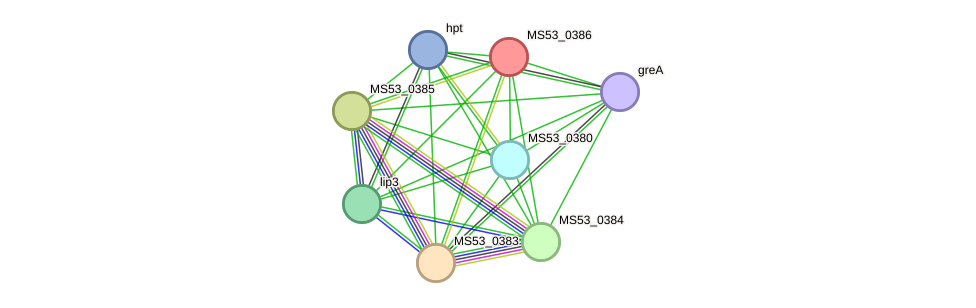 STRING protein interaction network
