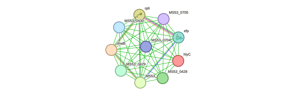 STRING protein interaction network
