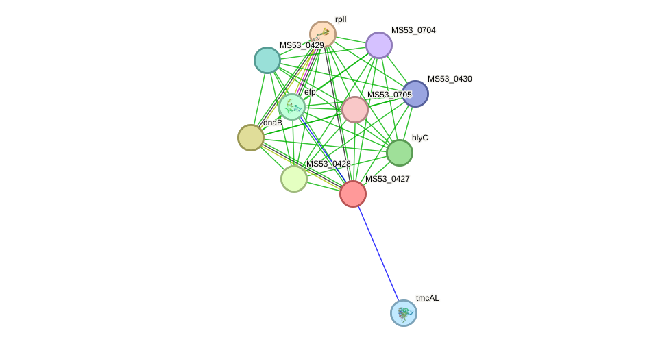 STRING protein interaction network