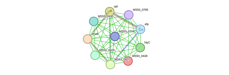 STRING protein interaction network