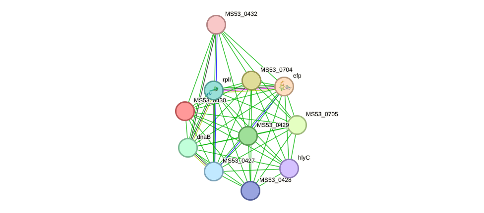 STRING protein interaction network