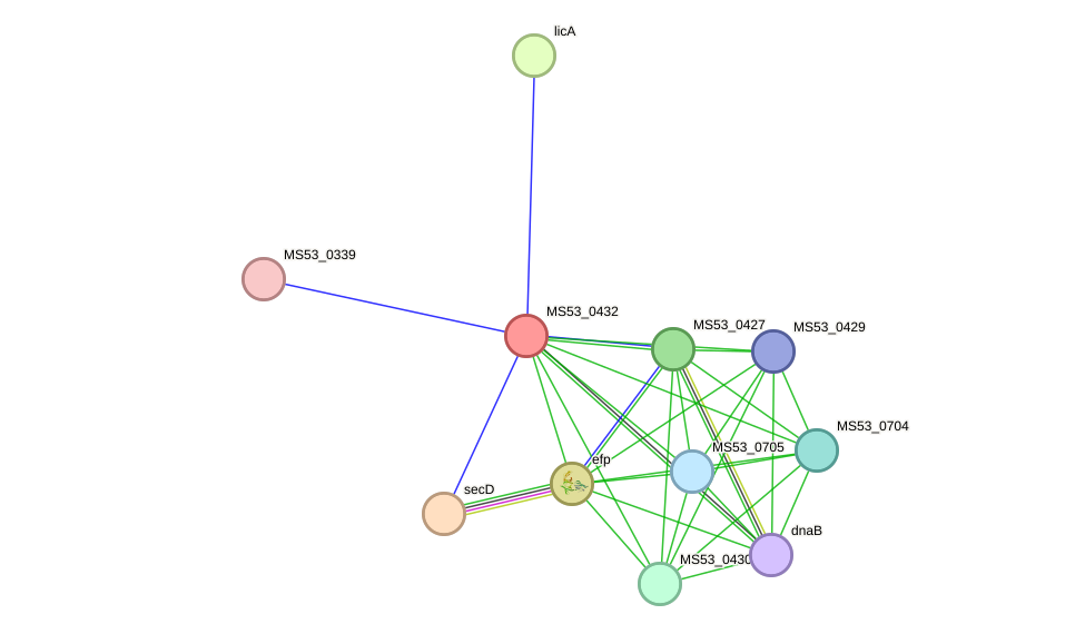 STRING protein interaction network
