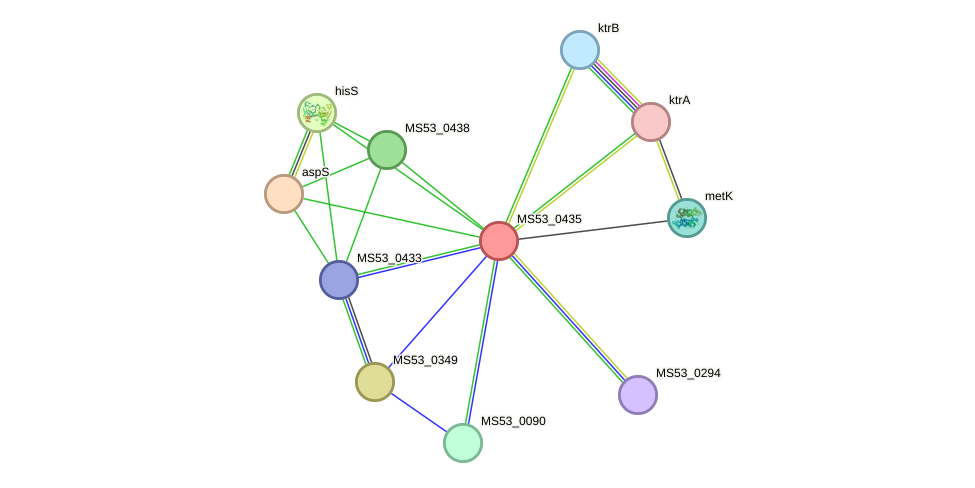 STRING protein interaction network