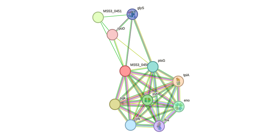 STRING protein interaction network