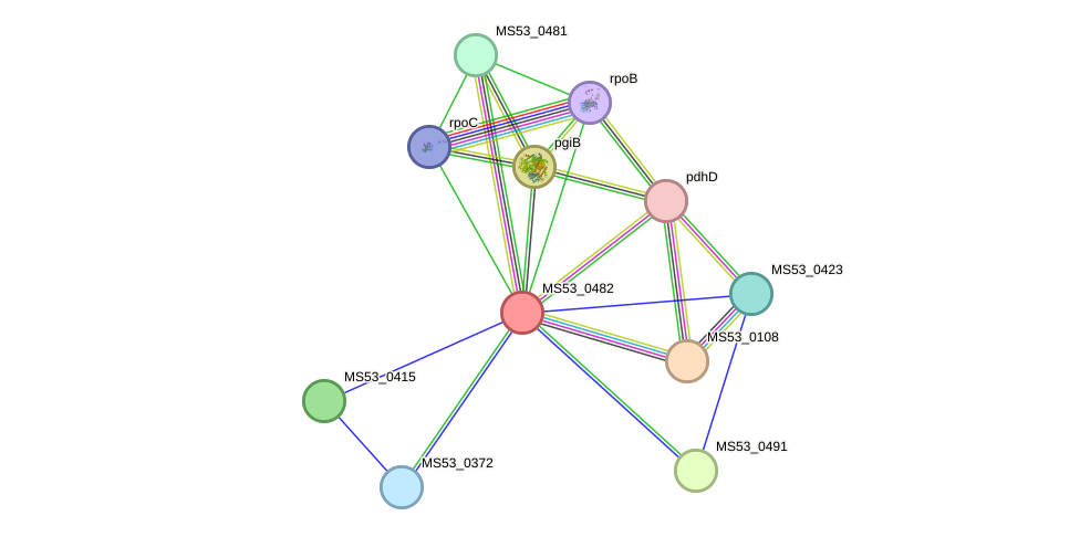 STRING protein interaction network