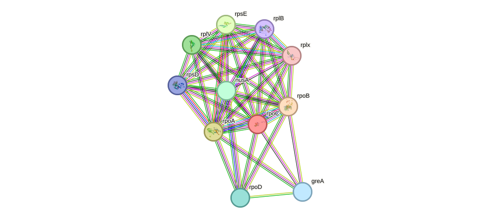 STRING protein interaction network