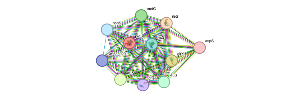 STRING protein interaction network