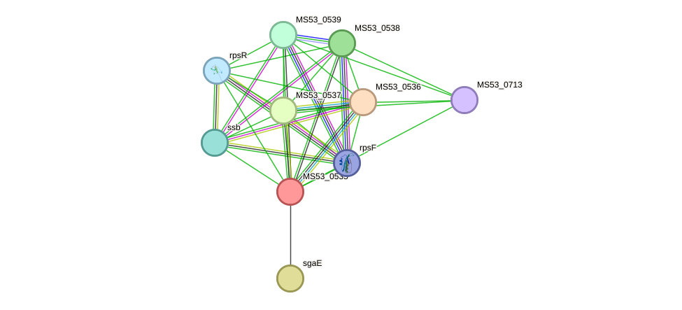 STRING protein interaction network