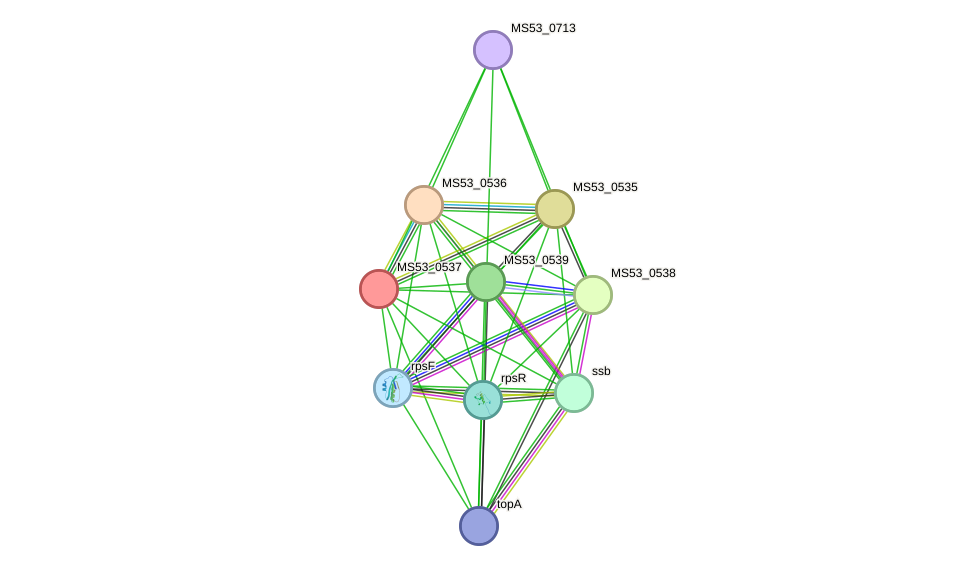 STRING protein interaction network