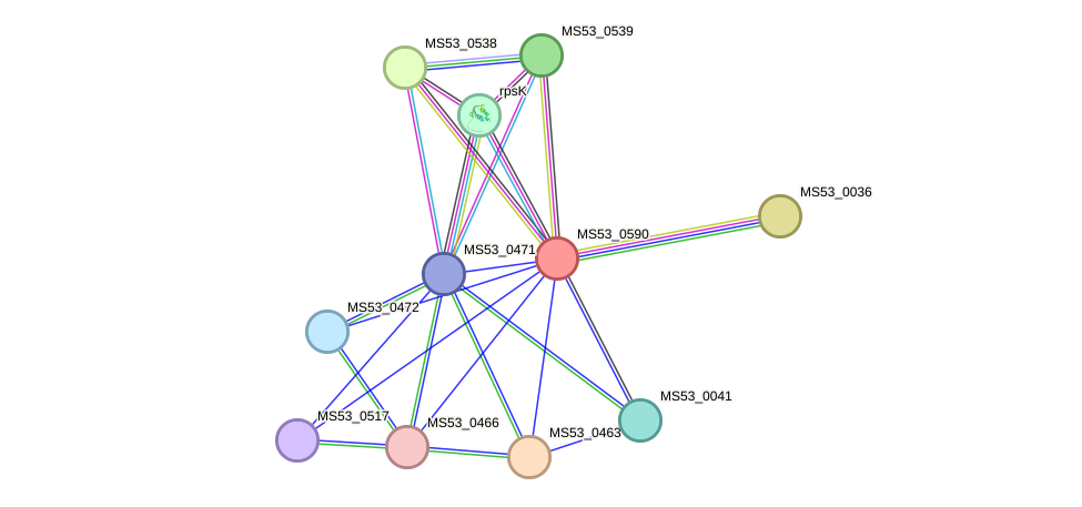 STRING protein interaction network
