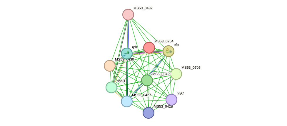 STRING protein interaction network