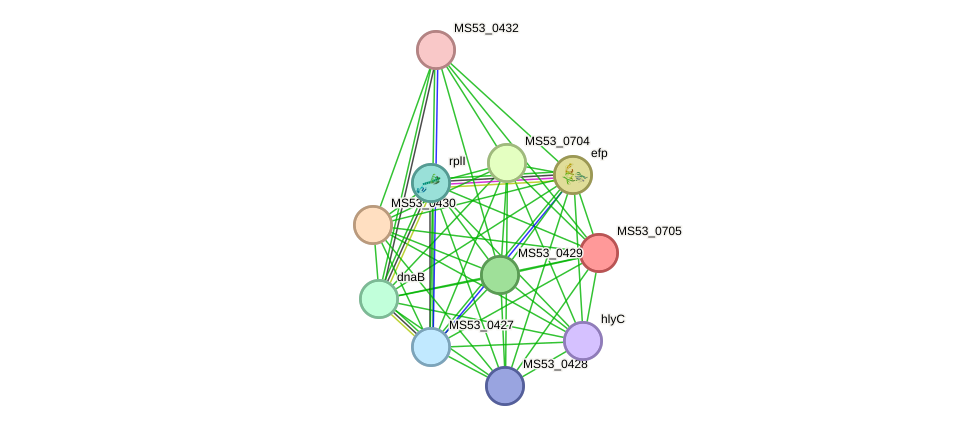 STRING protein interaction network