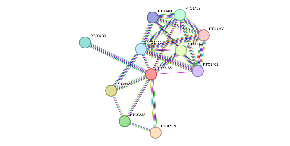 STRING protein interaction network