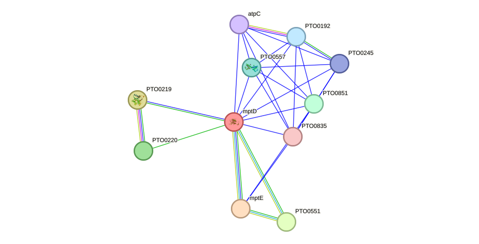 STRING protein interaction network