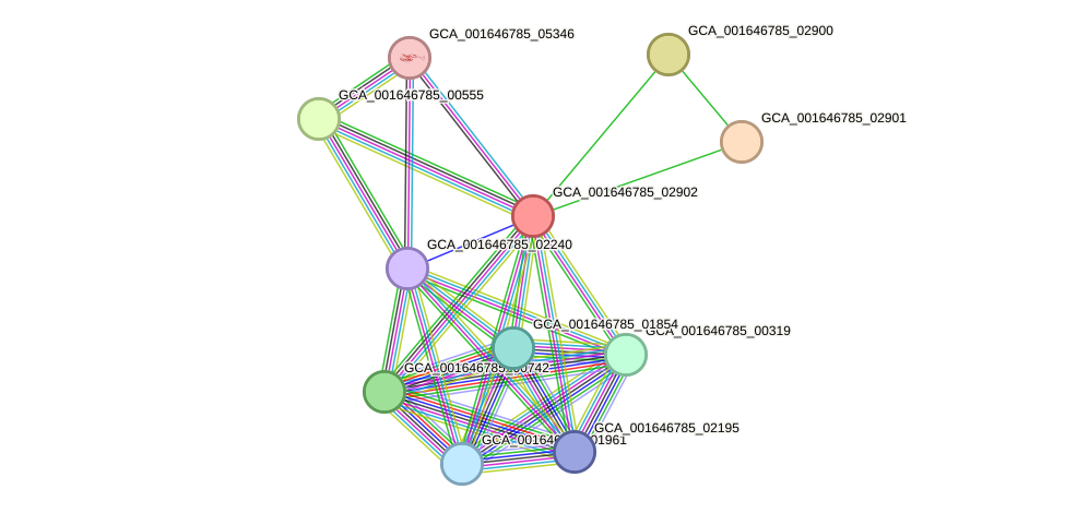 STRING protein interaction network