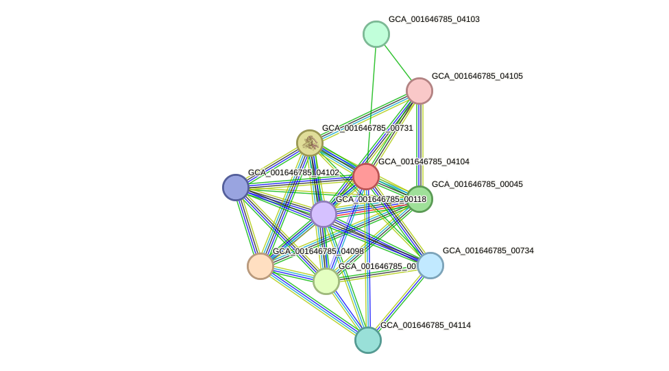 STRING protein interaction network